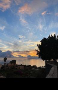 a sunset over a body of water with a tree at Casa Patio FincaEcoAmaro in Puerto de Santiago