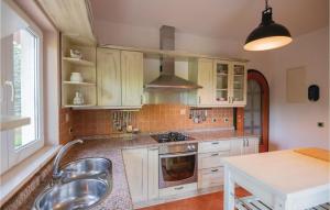 Kuchyňa alebo kuchynka v ubytovaní Three-Bedroom Holiday Home In Grubine