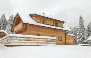 Schoenes Holzhaus In Flattnitz v zimě