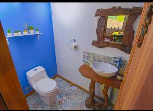 a bathroom with a white toilet and a sink at Casa en Puerto Varas in Puerto Varas +11 photos