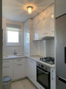 Køkken eller tekøkken på Ammi - Central Apartment - Galati