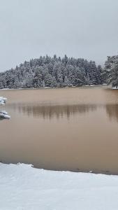 Imagen de la galería de Ξενώνας Ορεάδες, en Ano Trikala 5 fotos más