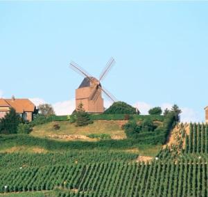 a windmill sitting on top of a hill with vines at appartement avec terrasse in Sillery