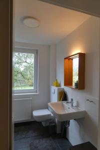 a bathroom with a sink and a toilet and a window at Ferien-und Monteurwohnung 'Friedersdorfer Mühle' in Pressig +29 photos