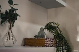 Fotografie z fotogalerie ubytování Casa Fidalgo v destinaci Sistelo