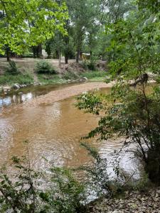 a stream of water with trees in the background at Casa de verano Marcos Lopez in Villa Cura Brochero