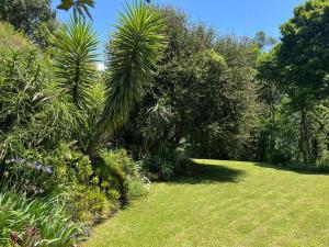 a garden with a palm tree in the grass at Berg Escape Poplar - Spacious Family Home in Bergview
