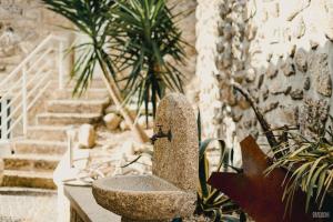 Fotografie z fotogalerie ubytování Casa Fidalgo v destinaci Sistelo