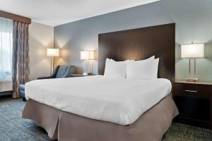Postel nebo postele na pokoji v ubytování Best Western Plus Flint Airport Inn & Suites