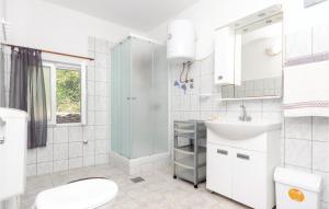 Koupelna v ubytování Holiday Home Gradina Iv