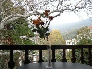 eine Vase mit Blumen auf einem Tisch auf einem Balkon in der Unterkunft Pelias Hotel in Portaria