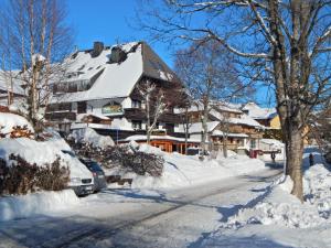Hochschwarzwald-Hof v zimě