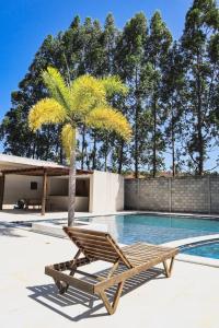 a chair and a palm tree next to a swimming pool at Casa aconchegante no Condomínio Reserva do Toque in São Miguel dos Milagres