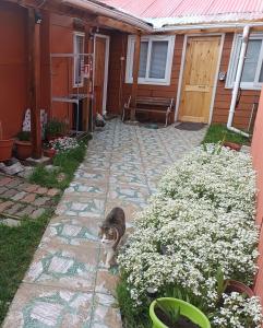 En have udenfor Cabaña Patagonia Rustica