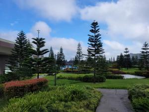 a group of trees in a park with a path at The Humble Abode in Tagaytay