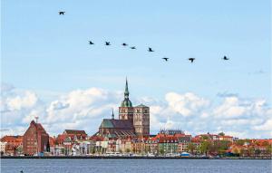 a flock of birds flying over a large city at Ferienwohnung Altefähr in Altefähr +10 photos