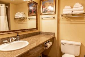 a bathroom with a sink and a toilet and a mirror at Studio Perfect Location 318 with Pool and Hot Tub in Crested Butte