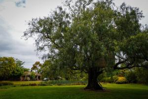 Κήπος έξω από το Charming Garfield Farm Stay 4BR Holiday Villa