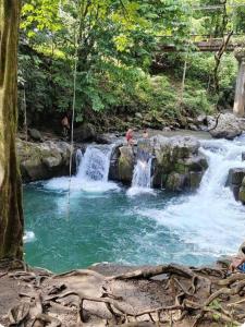 a waterfall in the middle of a river at The Bees House in Fortuna
