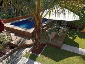 a palm tree sitting next to a swimming pool at Manzanillo BNB in Manzanillo