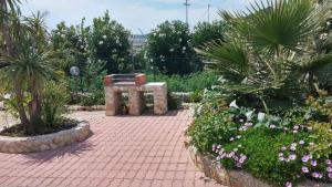A garden outside Villini Giovanna Disanti