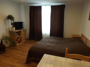 Schlafzimmer mit einem Bett, einem TV und einem Fenster in der Unterkunft Ferienwohnung Gittersee in Dresden