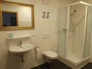 ein Badezimmer mit Dusche, Toilette und Waschbecken in der Unterkunft Ferienwohnung Gittersee in Dresden