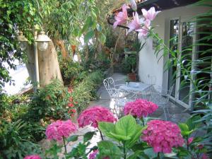 a garden with pink flowers and a table on a porch at Hotel Europa in Ischia