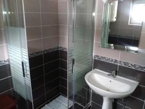 a bathroom with a sink and a glass shower at Apartment Usović in Žabljak