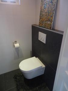 a bathroom with a toilet and a painting on the wall at Aan de Amstel in De Hoef