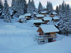 a house covered in snow with snow covered trees at Chalet neuf à Courchevel 1850, prêt pour 6 avec ski aux pieds et wifi! - FR-1-575-233 in Courchevel +6 photos