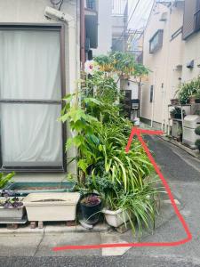 Taman di luar 独栋日式别墅巴士直达迪斯尼