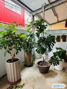 Ảnh trong thư viện ảnh của Lazy Time B&B ở Miaoli