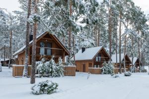博尔斯克Largo Lake Resort Kaszuby的雪地里的树林小屋