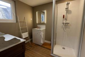 a bathroom with a shower and a sink at Maison Alternativi - hyper centre in Caen +50 photos