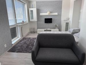 ein Schlafzimmer mit einem Sofa, einem Bett und einem TV in der Unterkunft Apartman Komenského-Centrum in Banská Bystrica