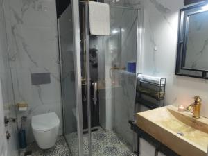 Un baño con ducha, inodoro y lavabo. en The Independent Hotel Taksim, en Estambul 22 fotos más