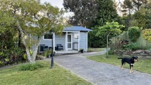Domácí mazlíčci ubytovaní s hosty v ubytování Incline Cottage