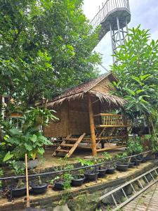 a small house with plants in front of a windmill at Campchamao in Ban Ra-ok