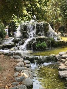 Φυσικό τοπίο κοντά σε αυτό το διαμέρισμα