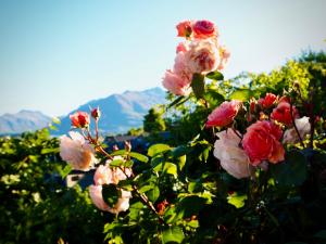 Φωτογραφία από το άλμπουμ του Amazing lake view room #1& floor heating στο Κουινστάουν