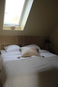 Φωτογραφία από το άλμπουμ του Lynæs Surfcenter σε Hundested