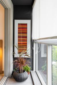 Zahrada ubytování ARVO Luxury Studio Rebouca Apartment