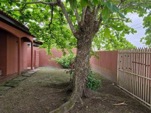 Κήπος έξω από το Quarto para quatro pessoas a duas quadras da praia - Balneário Saint Etienne - Matinhos +6 φωτογραφίες