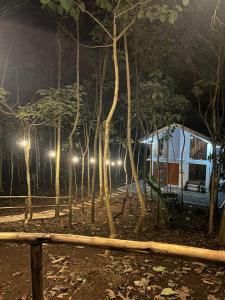 a tent in the middle of a forest at night at Tagaytay's Cozy Loft-type Forest House and Camp in Silang
