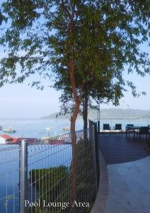 un árbol junto a una valla con vistas al agua en PINAY Home- The Shore Kota Kinabalu, en Kota Kinabalu 82 fotos más