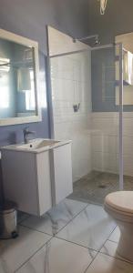 a bathroom with a sink and a shower and a toilet at Camdeboo Cottages in Graaff-Reinet