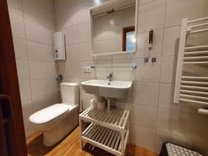 a bathroom with a sink and a toilet and a mirror at Apartment Peacock - Steinbock Lodges in Zell am See +18 photos