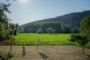 Gallery image of Authentique maison quercynoise à 4 kms de St Cirq Lapopie in Cénevières