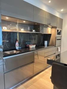 une cuisine avec des placards en acier inoxydable et un comptoir dans l'établissement Skau 2 Eurovea Garden View Free Parking, à Petržalka